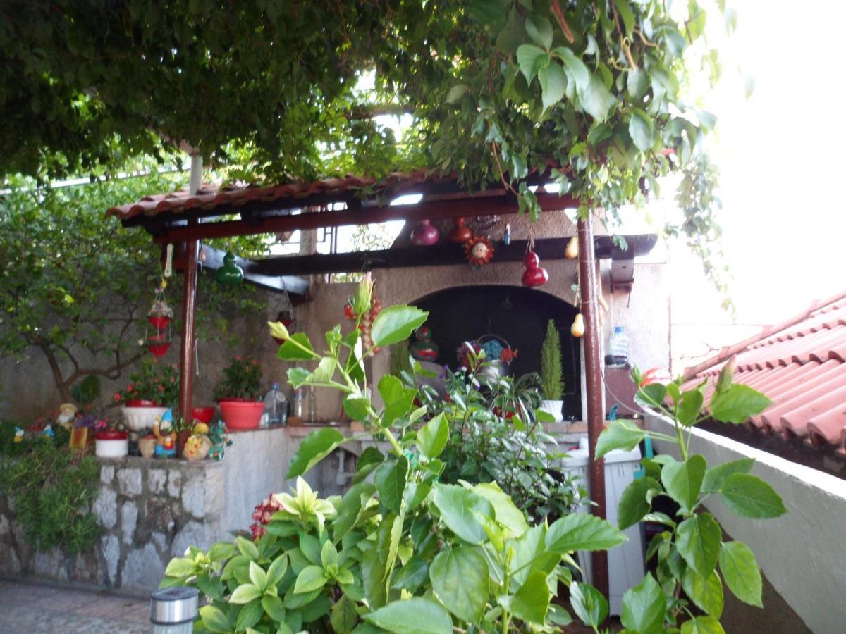 Guesthouse Ivona Dubrovnik Quarto foto